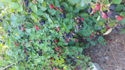 20200717_175007.jpg